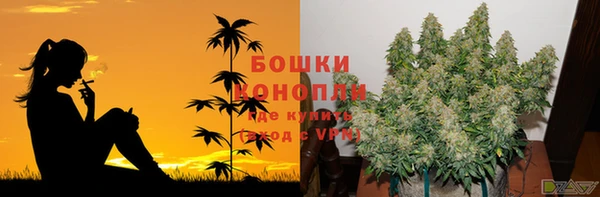 гидропоника Балабаново
