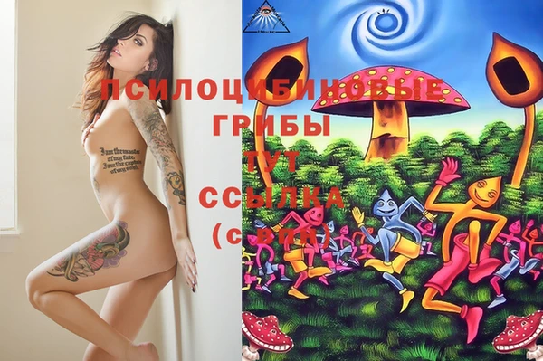 каннабис Баксан
