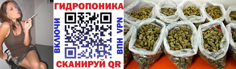 наркошоп  Закаменск  Бошки Шишки ГИДРОПОН 